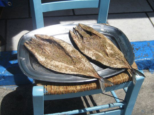 moPhoto1049 sailing 12